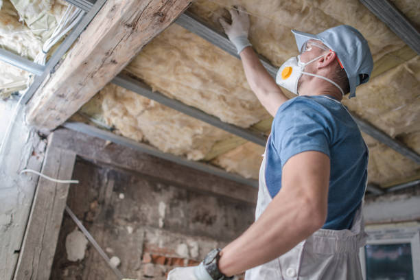 Best Residential Insulation in Dublin, OH