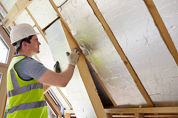 Best Insulation Maintenance and Repair in Dublin, OH