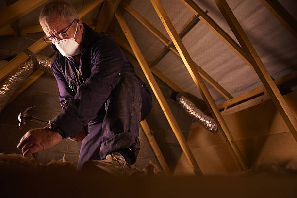 Best DIY Insulation Kits and Guidance in Dublin, OH