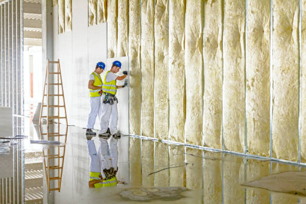 Best Geographic-Specific Insulation Services in Dublin, OH